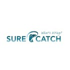surecatch