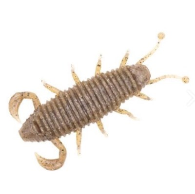 BUG05