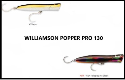 Nenhuma imagem definida 