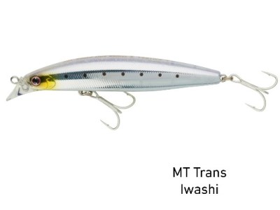 mtti.jpg