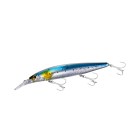 sardine001