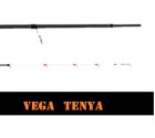 tenya1